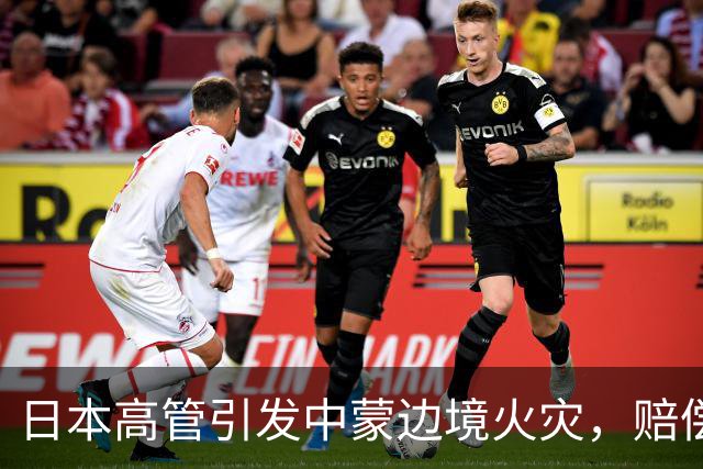 日本高管引发中蒙边境火灾，赔偿惹争议